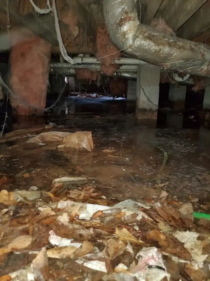 Crawl space flood assessment for Leak Detection & Repair in Macomb